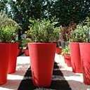 Jouez les couleurs !