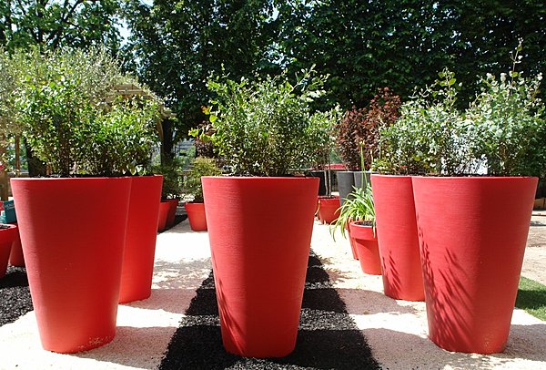 Jouez les couleurs !