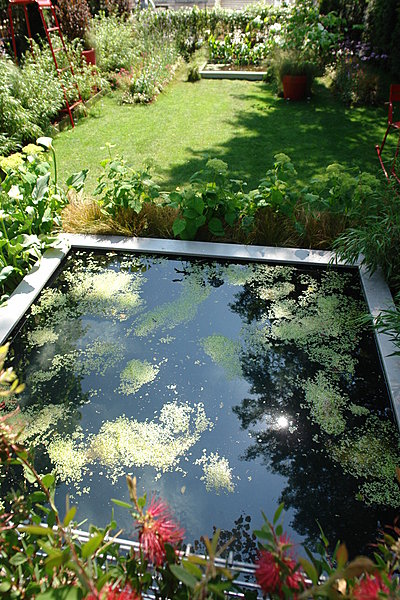 Ajoutez des plans d'eaux