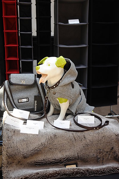 Même en hiver, il faut sortir le chien