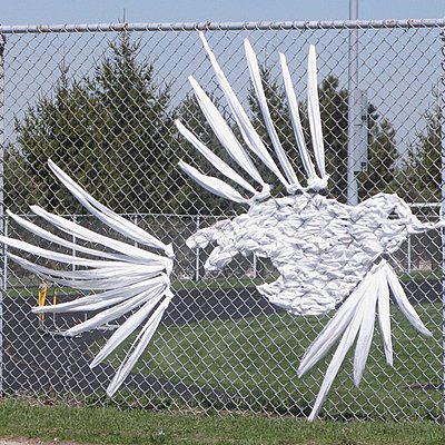 Carol Humel : Clotures enrubannées