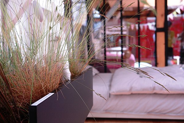 Au petit matin, un lapin ....