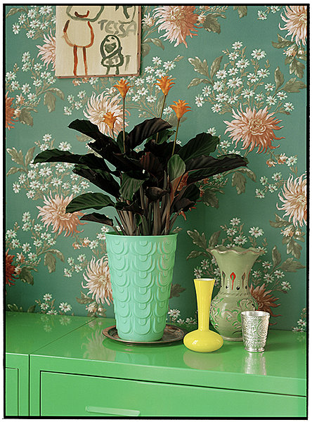 2 mois de floraison continue pour le Calathea Crocata