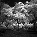 M.Dobrowner_Angel_courtesy GadCollection