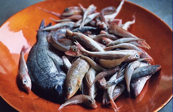 Poissons et petite friture