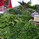 Feuilles, herbes et salades en tous genres