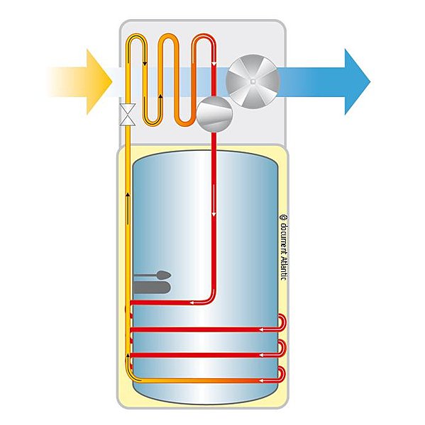 Un fonctionnement écologique, Atlantico