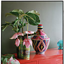 Pour les cordons bleus, les fleurs du Medinilla se transforment en fruits comestibles