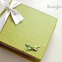 2- Album 9 mois -commande privée