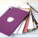 3- Album réalisé en atelier Crop de Asnières Les Dijon