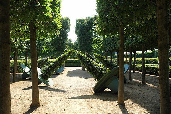Forêt ivre on s'incline !