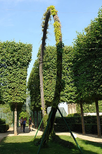 Naturel cycline d'Alexis Tricoire