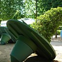 Forêt ivre d'Alexis Tricoire