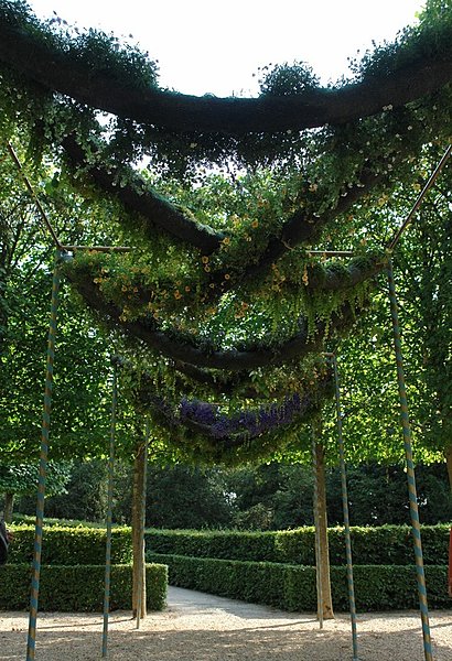 Galerie végétale Alexis Tricoire