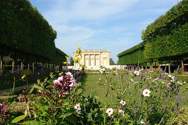 Bienvenue au Petit Trianon !