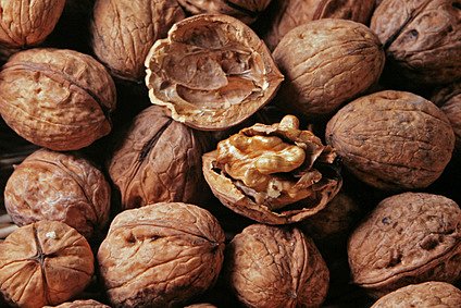 La noix du Périgord fait la fête à Terrasson