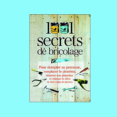 Trucs et astuces d'une professionnelle du bricolage avec anecdotes et belles illustrations.