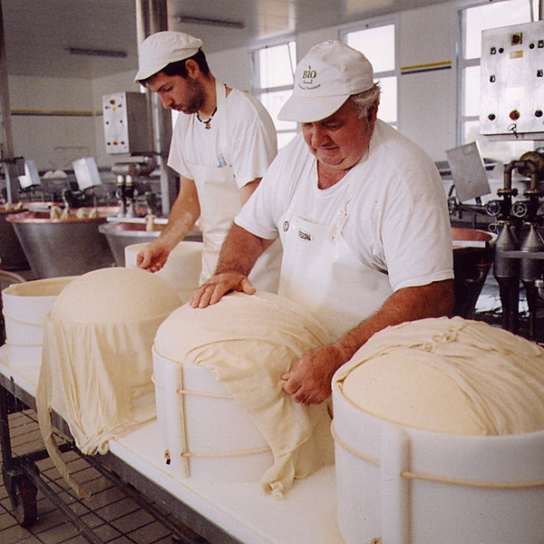 La mise en moule se fait tout en douceur