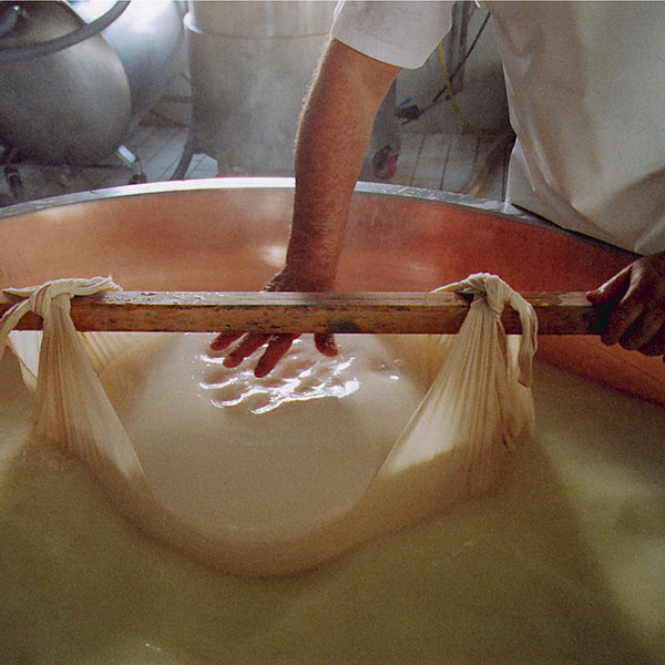 Le lait caillé est récupéré dans une toile de lin