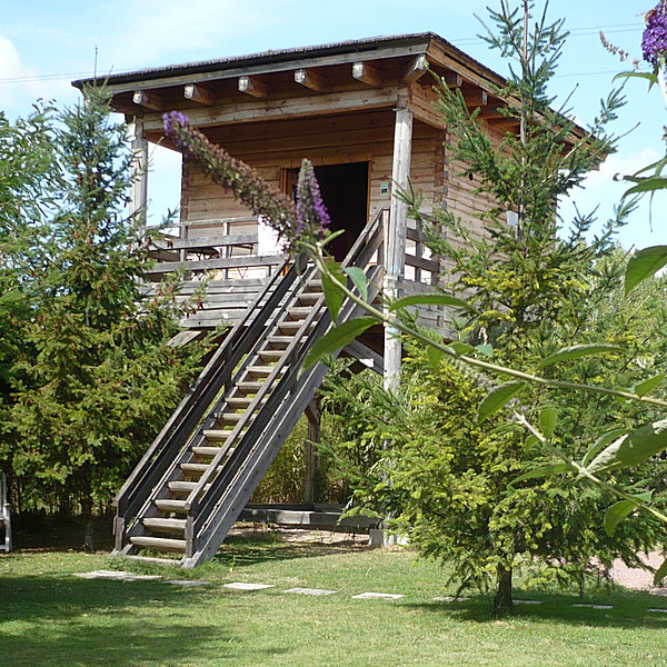 La cabane sur pilotis, idéale pour observer la nature