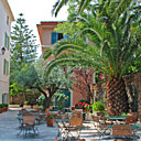 La gigantesque terrasse vous accueille à l'ombre de ses palmiers