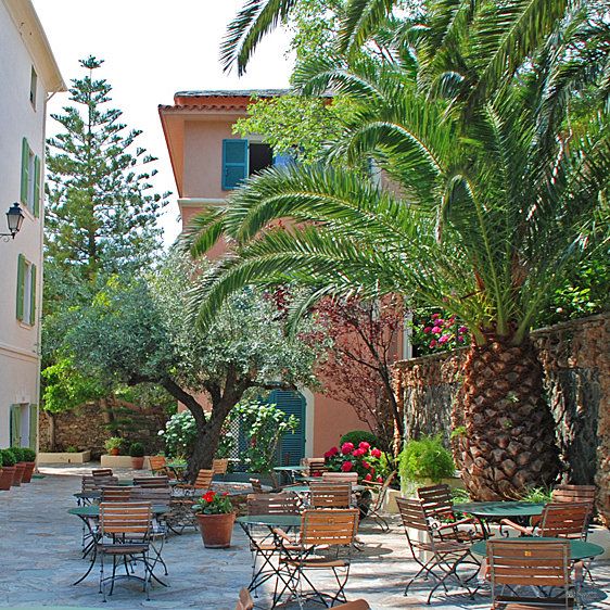 La gigantesque terrasse vous accueille à l'ombre de ses palmiers