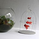 Cage à poissons de Dame Belette