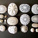 Delicate but strong 1