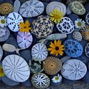 Les galets et les fleurs