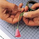 Enrouler l'adhésif floral.