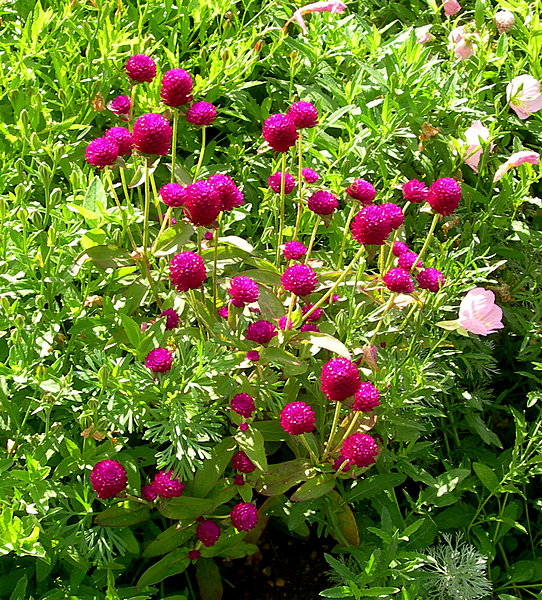 Mélange des arômes