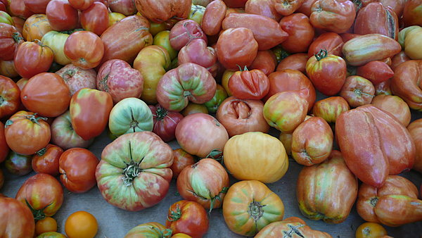 Un bel accord de tomates pour sublimer le poisson