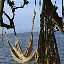 Les hamacs sont prêts pour le farniente à l’ombre avec comme seul bruit de fond le chant des oiseaux et le bruit des vagues