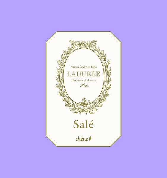 100 recettes avec leurs trucs et astuces pour un goût de Ladurée chez soi