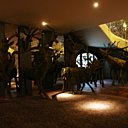 Les parties communes sont théatralisées