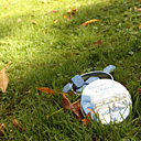 Une confiserie plate et carrée comme une ardoise, craquante comme de la nougatine, et fondante comme du chocolat