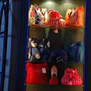 Vitrine de la boutique