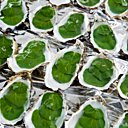 Huîtres en gelée d'eau de mer