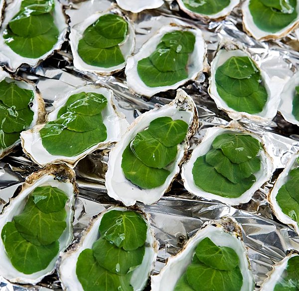 Huîtres en gelée d'eau de mer