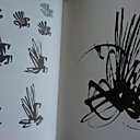 Les étapes de création du logo Air France