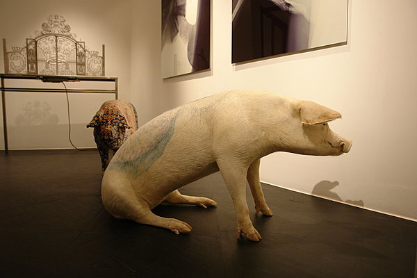 Je t'ai dans la peau Wim