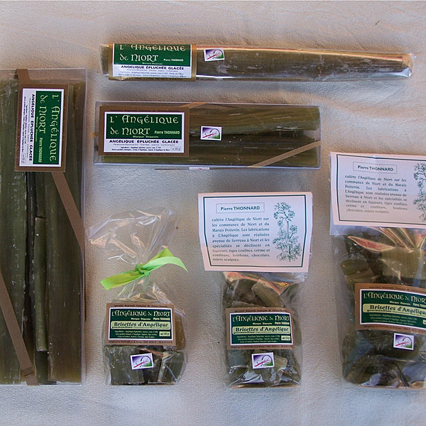 Une racine longue, fine, métamorphosée en une confiserie sous la forme d'un bâton cannelé d'un vert translucide...