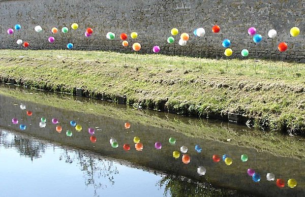 Installation de pissenlits