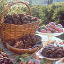 Au petit déj, prunes ou pruneaux?