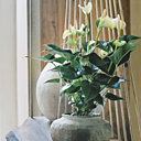 Moderne et distingué, le blanc immaculé lui va comme un gant !