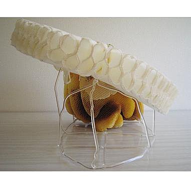 Céline Cleron rend hommage à "La Régente"