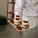 Tiramisu traditionnel revisité avec des pétales de rose et un coulis de framboises.