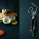 Hommage à l'encornet