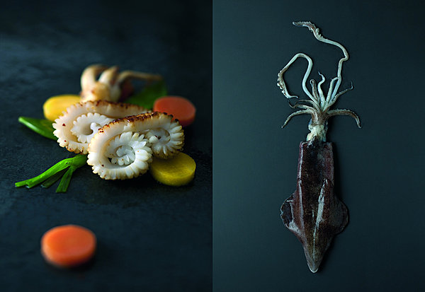 Hommage à l'encornet