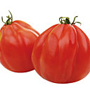 Une envie de potager bio avec les tomates AB, Truffaut